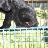2010062601_800x537.jpg