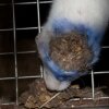 2010070208_800x531.jpg