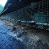 Boras_June29_6072.JPG