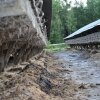 Farm_och_burar_15_800x531.jpg