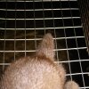 Hillers_20100912_139_400x600.jpg
