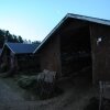 farm_och_burar_28_800x532.jpg